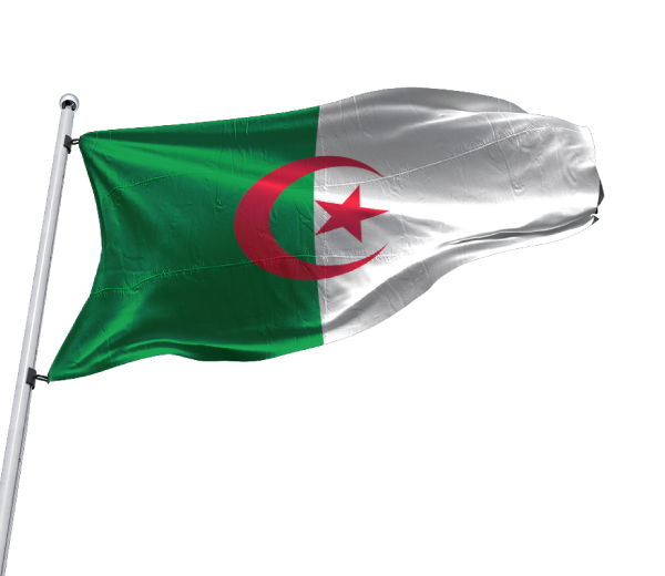 News-Algeria.png
